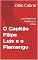 Livro O Capitão Filipe Luis e o Flamengo: Uma História de Resiliência e Glória
