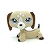ZAD Littlest Pet Shop Animals LPS Blue Eye Dachshund Dog Figure Loose Toys #1491