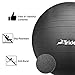 Trideer Yoga Ball Exercise Ball
