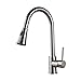 Rozin Single Handle Kitchen Sink Faucet Pull Out Spray Deck Mounted Mixer Tap Brushed Nickel