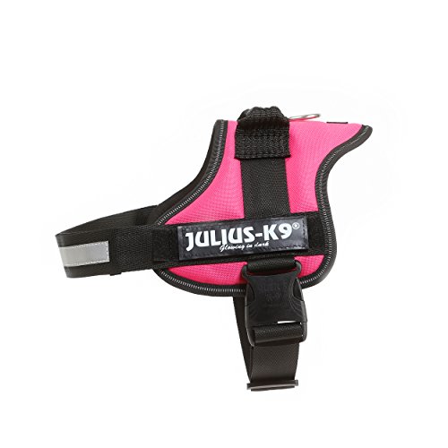 JULIUS-K9Powerharness, Size: M/0, Dark Pink