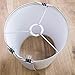 I Like That Lamp Wire Lamp Shade Rings with European Fitter (18” Diameter), Includes 2 Galvanized Steel Silver Drum Rings, Make DIY Table/Floor/Pendant Lamps, Compatible with most IKEA & Target Lamps