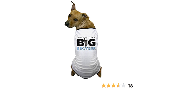 Big Brother Dog T Shirt Dog T-Shirt 