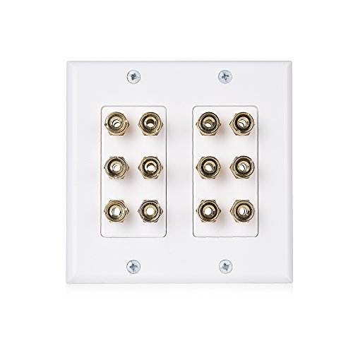 Cable Matters Double Gang Speaker Wall Plate (Banana Plug Wall Plate