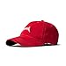 AA Apparel - The Glastonbury Tour Dad Hat (Red)
