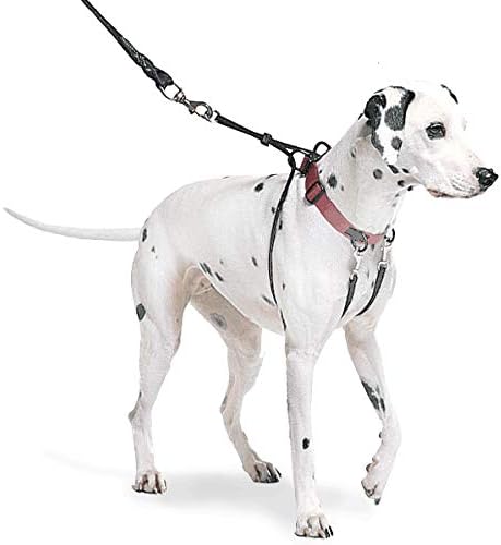 sporn dog harnesses