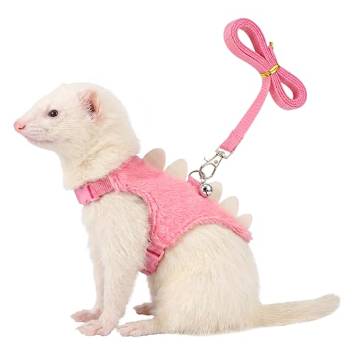 Macuezu Ferret Harness and Leash Set