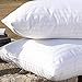 EvZ Premium Stuffer Pillow Insert Sham Square Form Polyester, 22