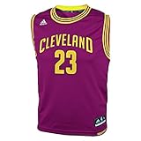 Lebron James Cleveland Cavaliers Youth Replica Jersey
