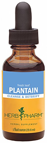 Herb Pharm Certified Organic Plantain Extract for Cleansing and Detoxification - 1 Ounce