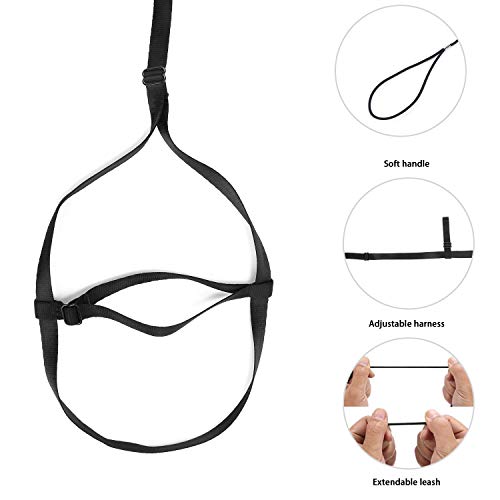 4 Adjustable+Parrot+Bird+Harness+Leash