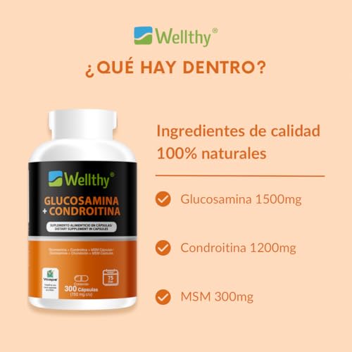 Wellthy Glucosamina 1500mg, Condroitina 1200mg, MSM 300mg. 300 Cápsula de Origen Vegetal, OptiMSM® (USA). Calidad Certificada.