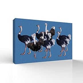Canvas Wall Art for Living Room,Bedroom Home Artwork Paintings Ostrich Ready to Hang - 12x18 inches