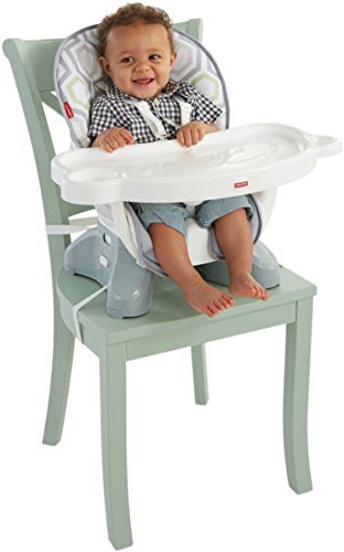 1 Fisher+Price+SpaceSaver+High+Chair+Meadow