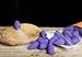 Gift Pro 50 Pieces in One Bag Sandalwood Incense Cones For Ceramic Backflow (Lavender)