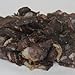 Safari Biltong 1 lb.