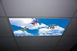 Butterfly Kites Skypanels - Replacement Fluorescent Light Diffuser