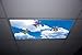 Butterfly Kites Skypanels - Replacement Fluorescent Light Diffuser