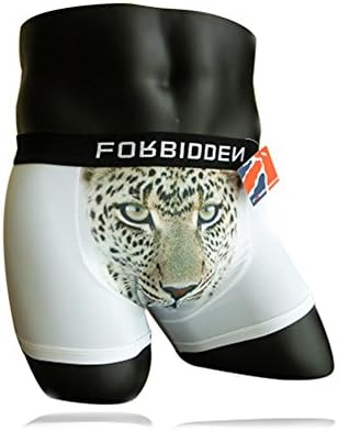 cytprimedesign Men's 3d Printing Boxer Brief with Animal Pattern,Leopard,US L(Asia, XL)