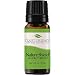 Plant Therapy Nature Shield Essential Oil Synergy | Natural Insect Repellent Blend | 100% Pure, Undiluted, Natural Aromatherapy, Therapeutic Grade | 10 milliliter (1/3 ounce) primary