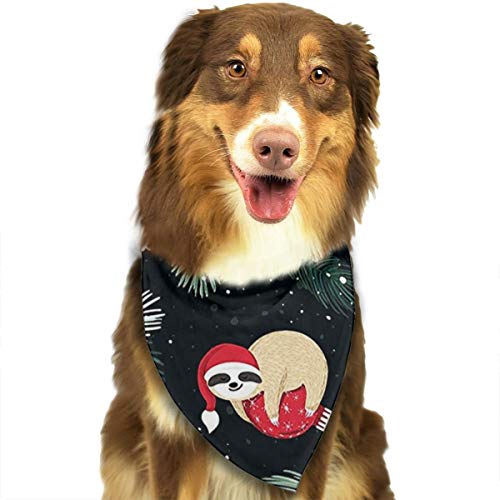 Top 20 Best Dog Christmas Scarfs Reviewed in 2024 Pet Struggles