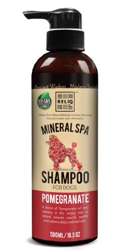RELIQ Mineral SPA Shampoo, Pomegranate