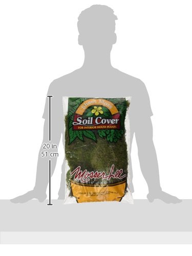 Mosser 0470 Natural Green Sheet Moss, 675-Square Inch - Thumbnail 2