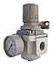 PneumaticPlus SAR4000M-N06BG Air Pressure Regulator 3/4