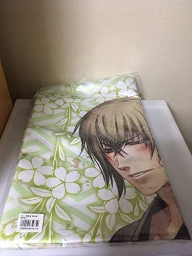 薄桜鬼 黎明録 アニメイト版特典 風間千景 抱き枕カバー 沖田総司 日本