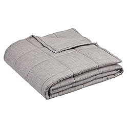 Amazon Basics Weighted Blanket with Minky Duvet