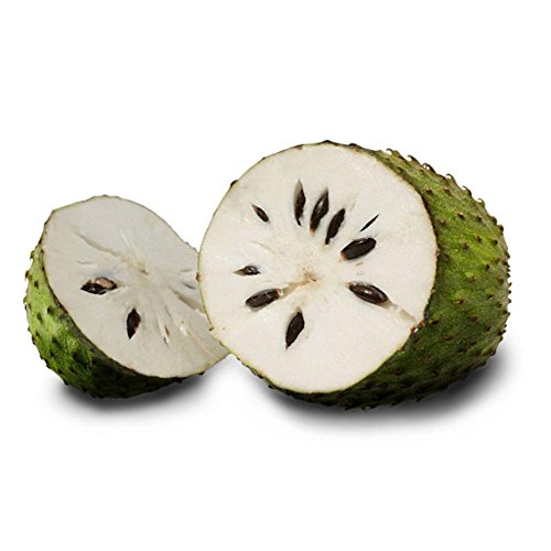 20Pcs Soursop Tropical Fruit Custard Apple Graviola Annona Muricata Seeds