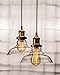 Lucia Lighting Pendant Ceiling Light Mid-Century Vintage Industrial Bronze Pendant Design with Clear Glass Shade; Masterpiece Lighting Fixture