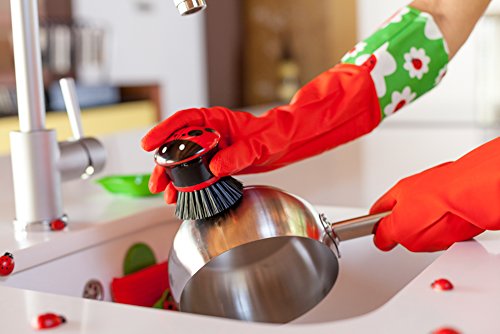 Vigar Ladybug Palm Dish Brush with Holder, 5-3/4-Inches by 3-3/4-Inches, Black, Red, White, Green