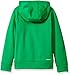 adidas Big Boys' Po Tech Fleece Hoodie, Green/Collegiate Royal, Large/14-16