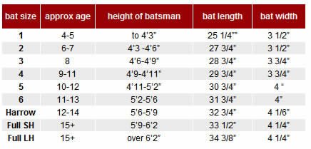 SS Master 1000 English Willow Cricket bat - Thumbnail 5