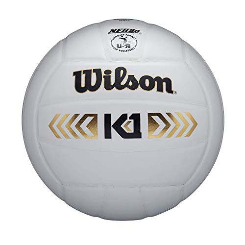 Top 10 Volleyballs Wilson of 2020 No Place Called Home