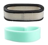 Podoy 394019 Air Filter for Briggs & Stratton Lawn Mower 272490S 394019S 398825 24150 4136 AM38990 24150