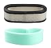 Podoy 394019 Air Filter for Briggs & Stratton Lawn Mower 272490S 394019S 398825 24150 4136 AM38990 24150