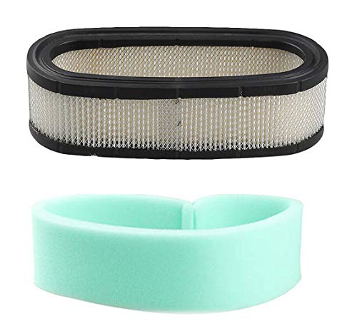 Podoy 394019 Air Filter for Briggs & Stratton Lawn Mower 272490S 394019S 398825 24150 4136 AM38990 24150