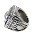 Decade Awards 2018 Silver Fantasy Football Champion Ring | Style B | Heavy FFL League Champ Ring with Stand