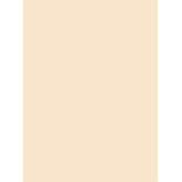 Pacon Tagboard Manila Medium Weight 9x12"