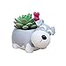 Cuteforyou Succulent Pots,Cute Cartoon Ceramic Succulent Cactus Flower Pot,Pencil Holders,Desk Accessories, Makeup Brush Storage Stand-Plant Not Included (Grey Schnauze)