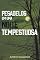 Livro PESADELOS EM UMA NOITE TEMPESTUOSA