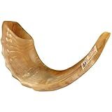 Kosher Rams Horn Polished Shofar by Peer Hastam - With Guide & Anti Odor Spray (13