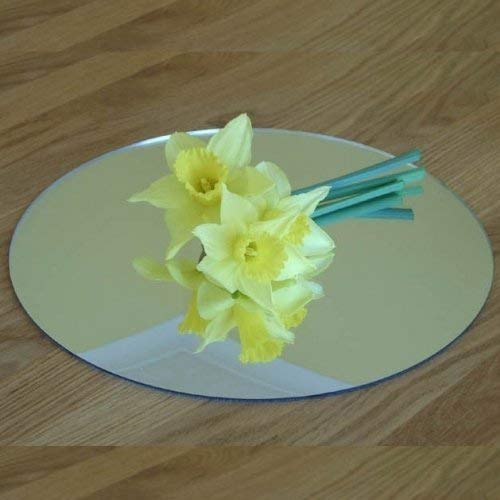 Five Circle Table Mirror Decorations 25cm x 25cm