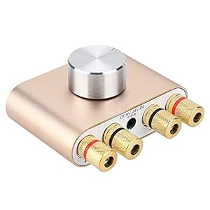 Mini eindversterker bluetooth stereo hifi digitale versterker 100W audiospeler met voeding goud