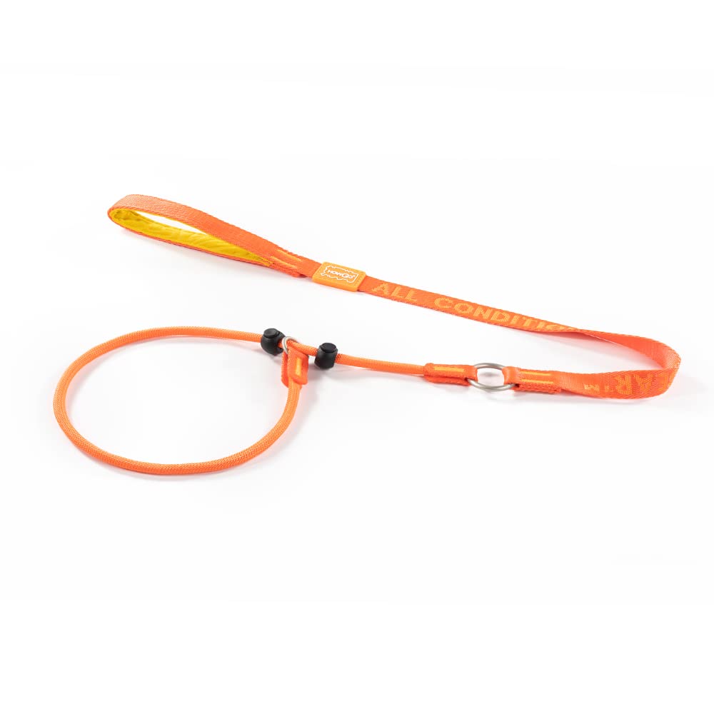 Howgo Dog Slip Lead Dog Leash, Training Leash, No-Pull Lightweight Slip Lead and Collar, Heavy Duty & Durable, Padded Handle, for All Breeds (Orange, 3.6FT) — image 1
