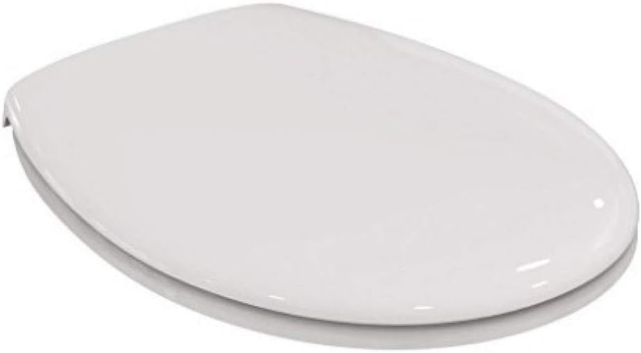 Ideal Standard Armitage Shanks Toilet Seat Cover Duroplast White Glossy