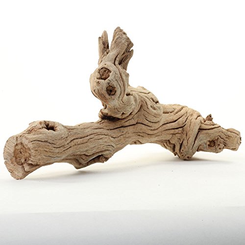 Koyal Wholesale Natural Grapewood Vine Branch, 6-Inch