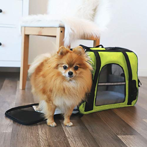 Paws & Pals Airline Approved Pet Carrier SoftSided Carriers for Small Medium Cats and Dogs
